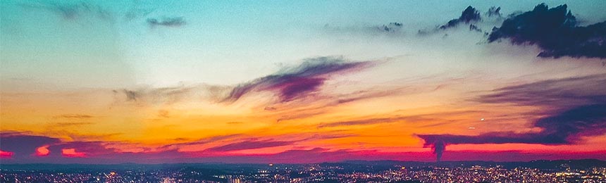 正定茶虫网_正定品茶